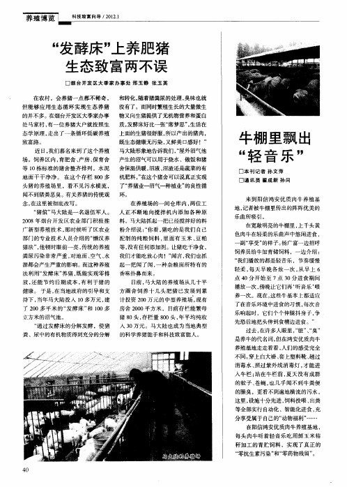 “发酵床”上养肥猪生态致富两不误