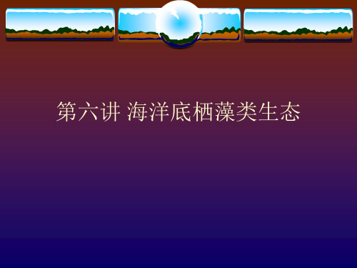 第六讲 海洋底栖藻类生态