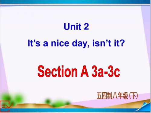 新鲁教版(五四制)八年级英语下册Unit 2 Section A-3 课件