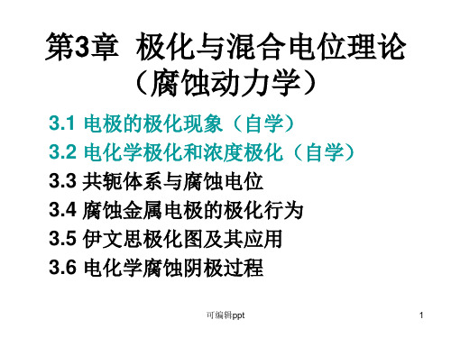 极化与混合电位理论
