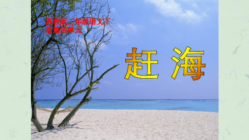 赶海第一课时课件