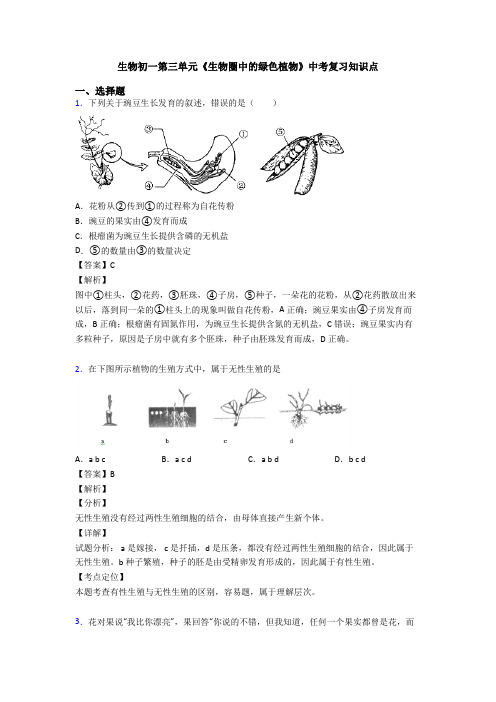 生物初一第三单元《生物圈中的绿色植物》中考复习知识点