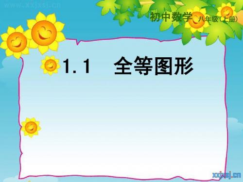 (苏科版)八年级数学上册《1.1全等图形》ppt课件