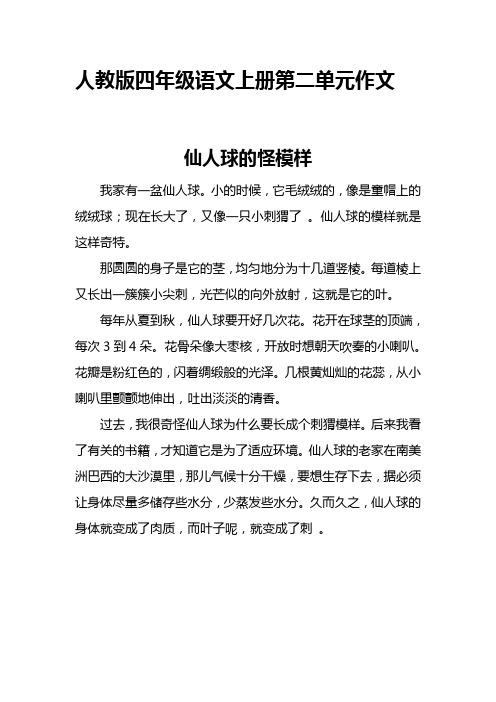 人教版四年级语文上册第二单元作文(5篇范文)