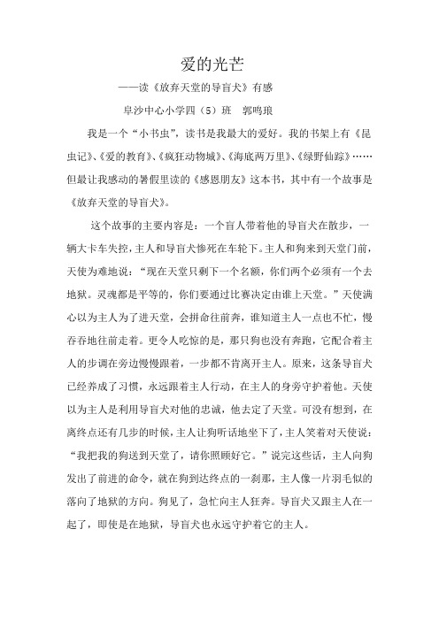爱的光芒