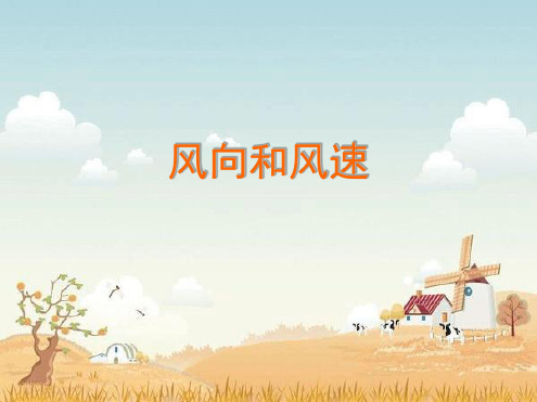 教科版四年级科学上册风向和风速课件2
