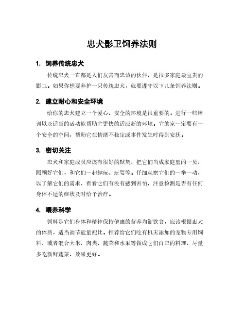 忠犬影卫饲养法则
