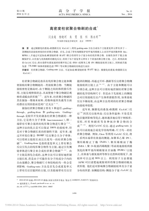 高密度柱状聚合物刷的合成_闫业超