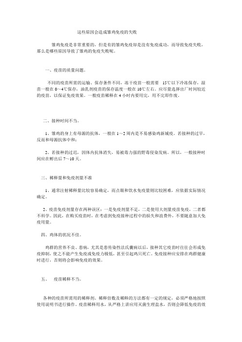 这些原因会造成雏鸡免疫的失败