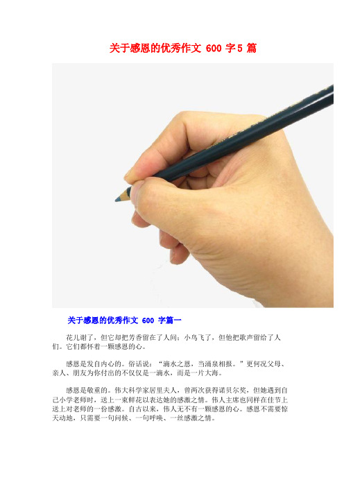 关于感恩的优秀作文600字5篇