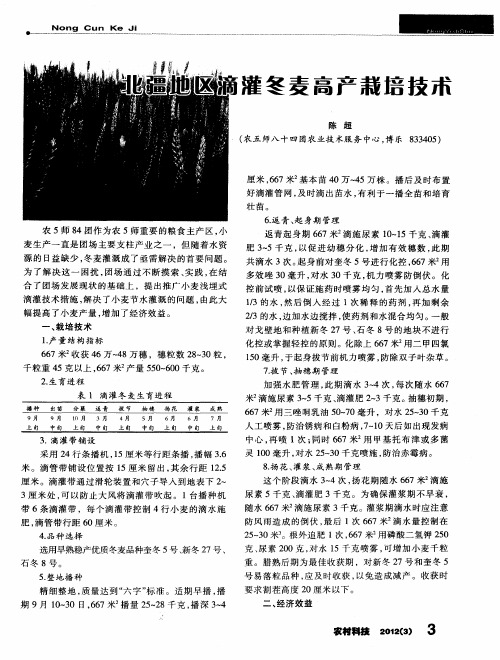 北疆地区滴灌冬麦高产栽培技术