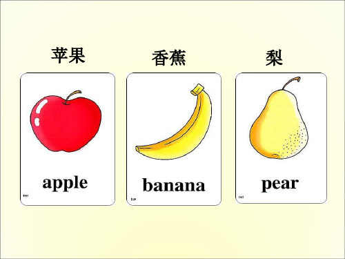 幼儿常用英语单词图片大全