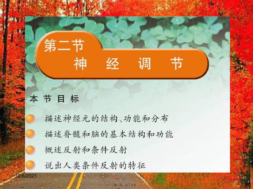七年级生物下册 12.2 神经调节课件