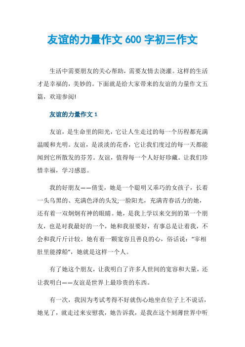 友谊的力量作文600字初三作文