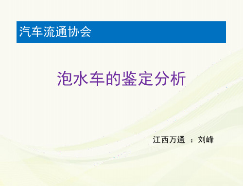 泡水车鉴定分析ppt-刘峰