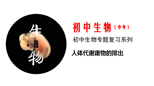八年级生物中考专题复习《泌尿系统复习》