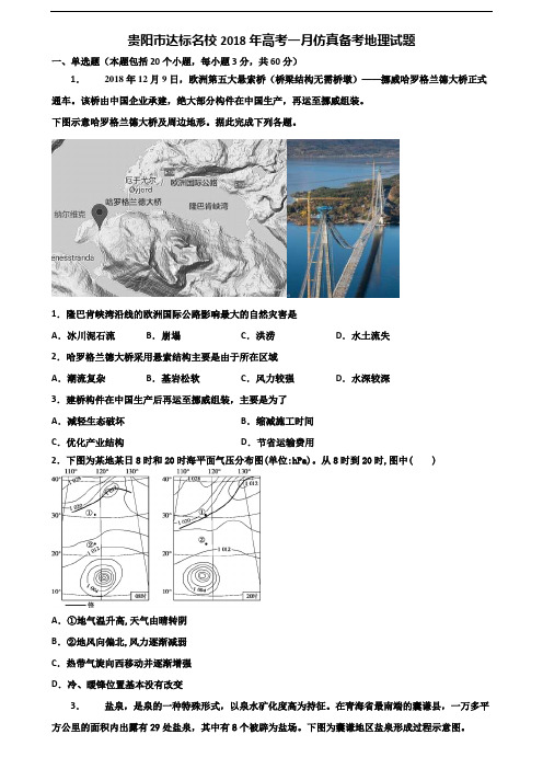 贵阳市达标名校2018年高考一月仿真备考地理试题含解析