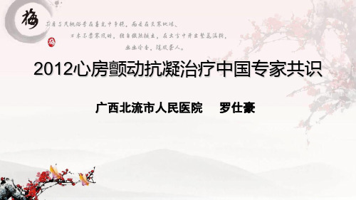 2012年房颤抗凝治疗指南