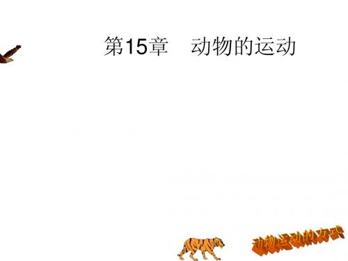 第15章 动物的运动++说课课件+(44张PPT)