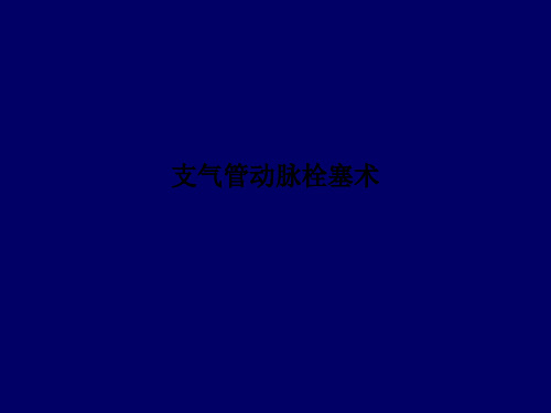支气管动脉栓塞术