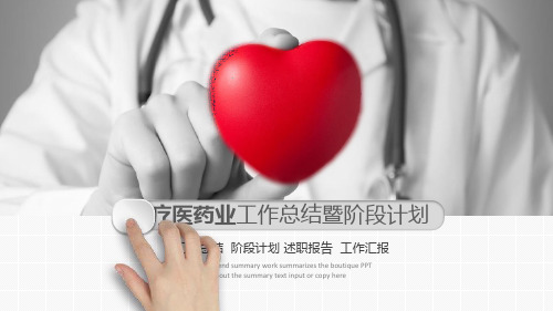 医药工作总结计划ppt模板