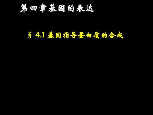 §4.1基因指导蛋白质的合成