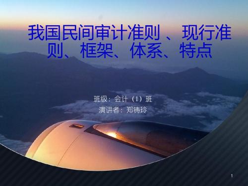 我国民间审计准则