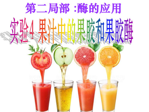 实验4：果汁中的果胶和果胶酶