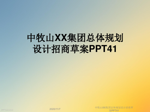 中牧山XX集团总体规划设计招商草案PPT41
