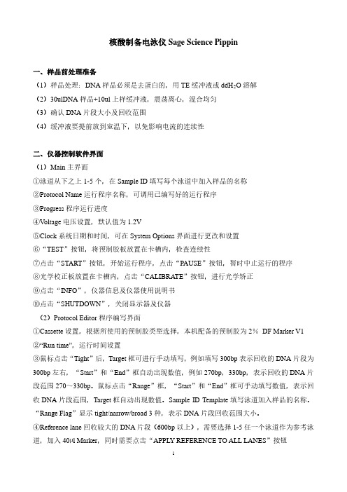 核酸制备电泳仪操作规程