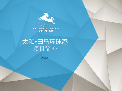 太和白马环球港简介