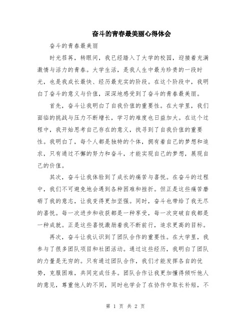 奋斗的青春最美丽心得体会