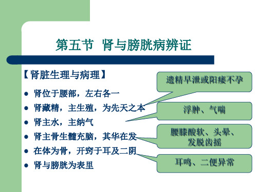 中医学基础课件-肾与膀胱辨证
