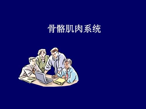 骨骼肌肉系统ppt课件