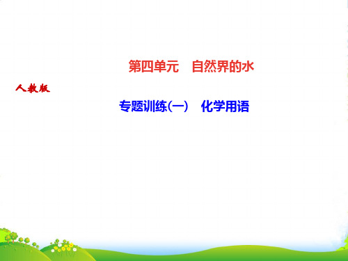 人教版九年级化学上册精练课件：第四单元 专题训练(一) 化学用语(共23张PPT)