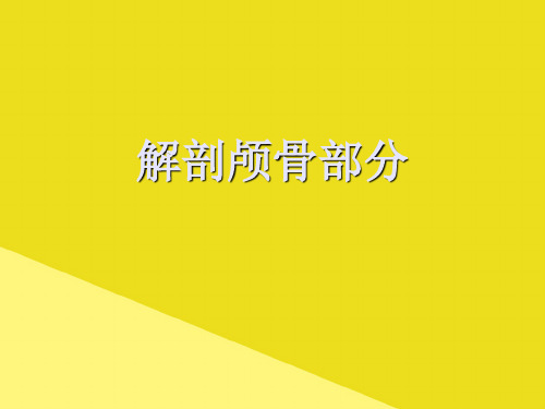 解剖颅骨部分PPT资料(正式版)