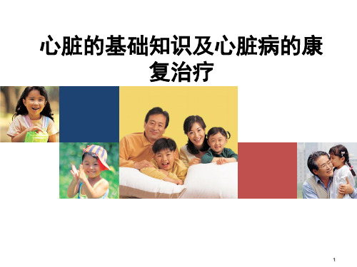 心脏的基础知识ppt课件