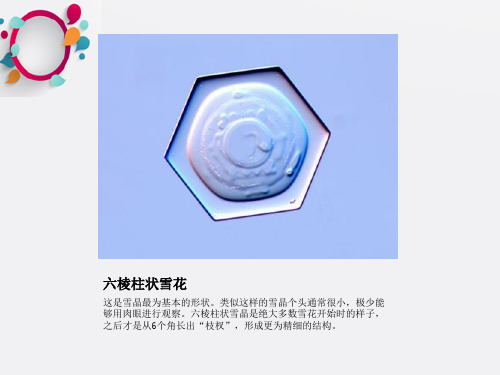 《雪花形状》PPT课件