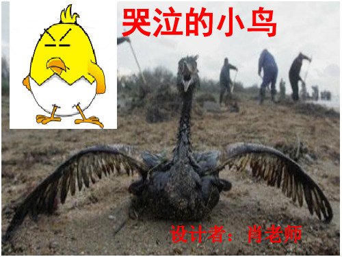 哭泣的小鸟
