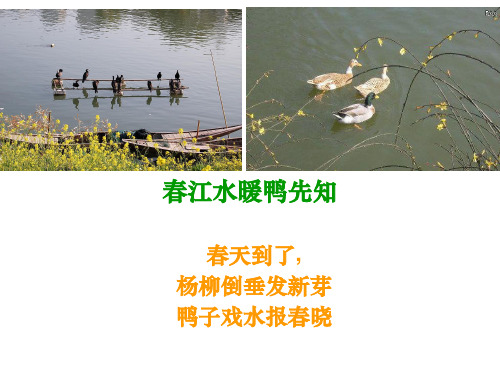 四年级下册语文优秀课件- 口语交际六 《走进田园 热爱乡村》人教新课标  共16张PPT
