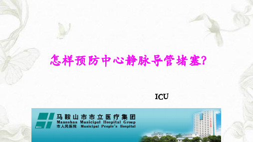 怎样预防中心静脉导管堵塞PPT课件
