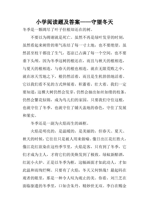 小学阅读题及答案——守望冬天