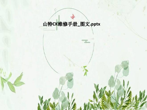 山特CK维修手册_图文