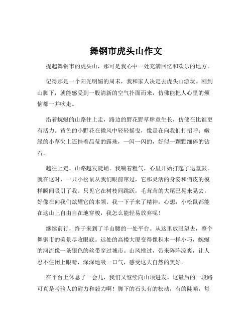 舞钢市虎头山作文