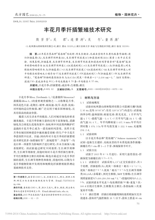 丰花月季扦插繁殖技术研究_殷芳芳