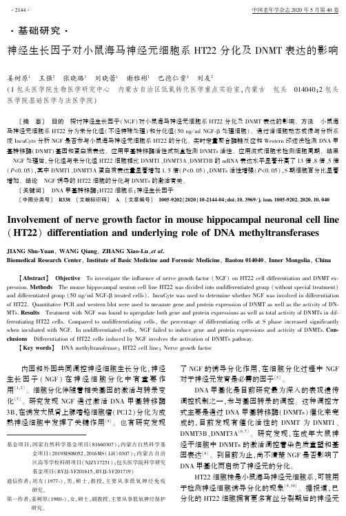 神经生长因子对小鼠海马神经元细胞系ht22分化及dnmt表达的影响