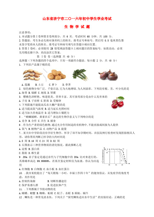 山东省济宁市2016年中考生物真题试题(含答案)