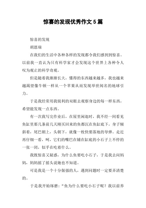 惊喜的发现优秀作文5篇