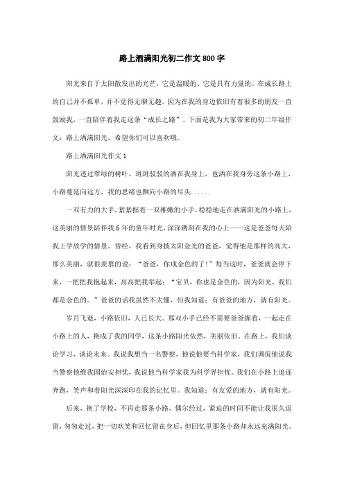 路上洒满阳光初二作文800字