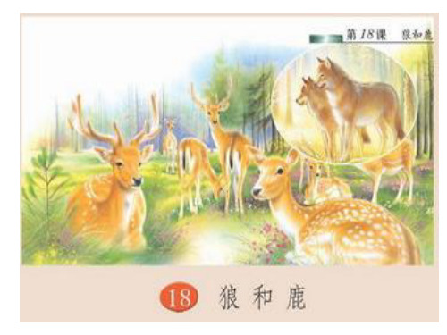 18狼和鹿PPT课件